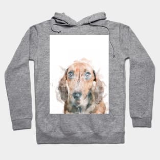 Watercolor Dachshund Hoodie